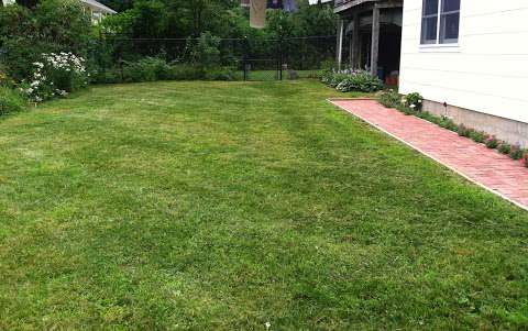 Jobs in Edge Lawn Care - reviews